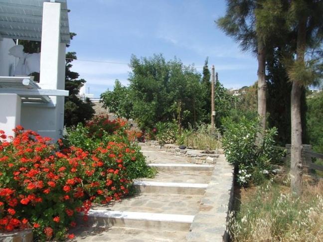 Villas Georgy パロス島 エクステリア 写真