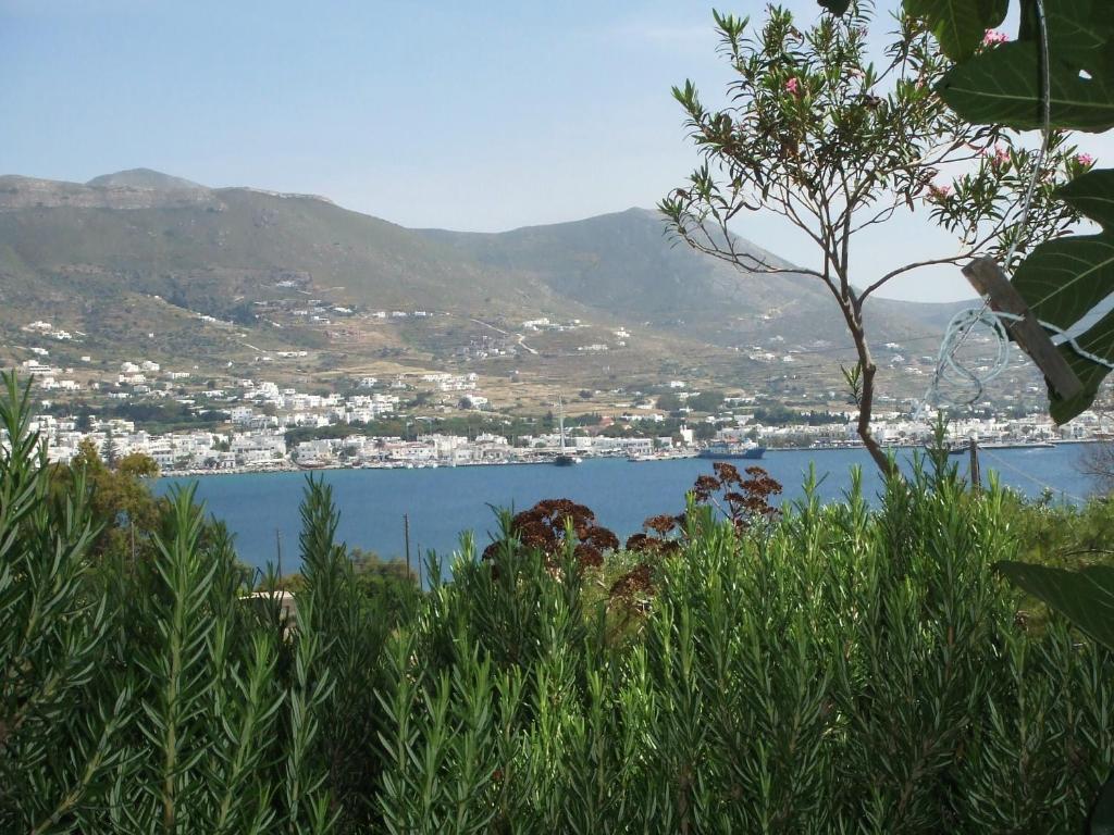 Villas Georgy パロス島 エクステリア 写真